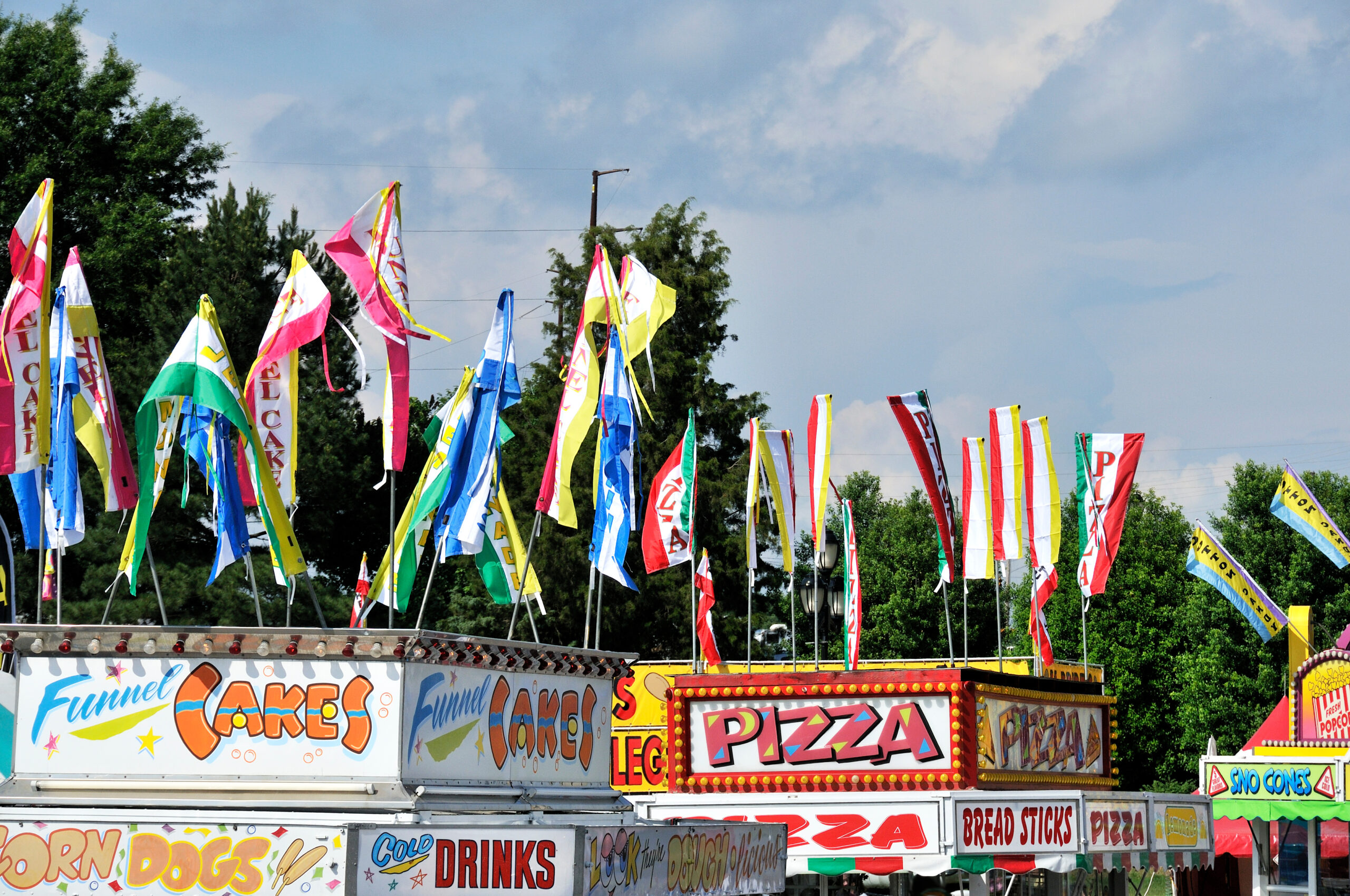 Entry Information Jr. Fair, Sr. Fair Paulding County Fair